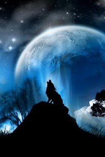 Download Wolf HD Wallpapers FREE APK for Android