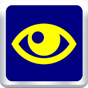 Low Vision 1.3