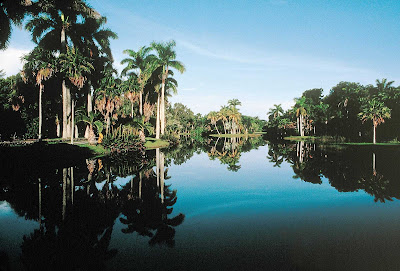 Fairchild Tropical Botanical Garden in Miami.