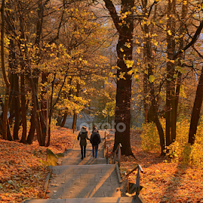 by Vida Jankaitiene - City,  Street & Park City Parks