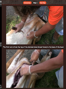 Deer Dummy - Field Dressing Screenshots 0