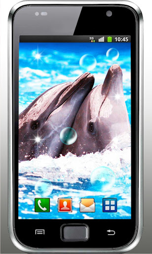 Dolphin Free HQ live wallpaper