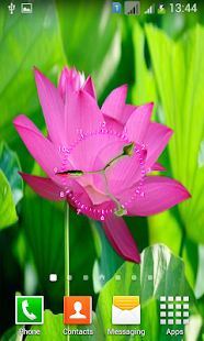 Download Lotus Flower Clock APK