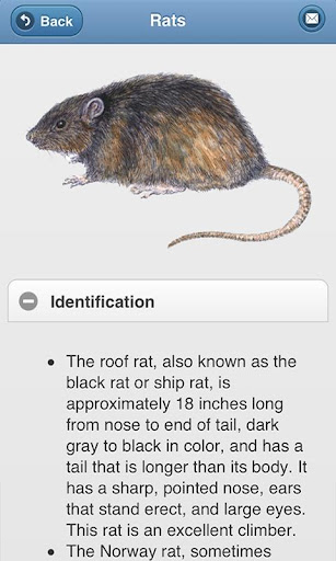 Steritech Pest ID