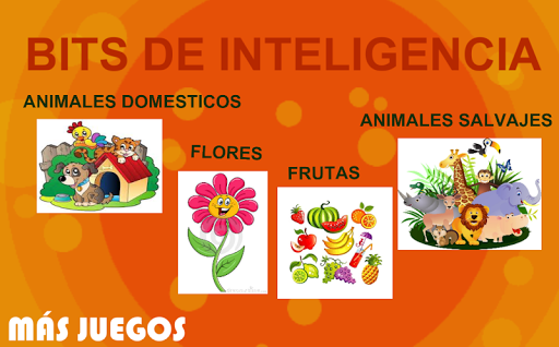 Inteligencia para Niños