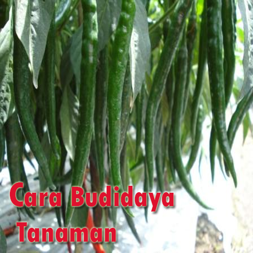 Cara Budidaya Tanaman