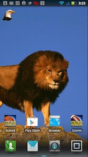 Animals in Nature Live WP Screenshots 7
