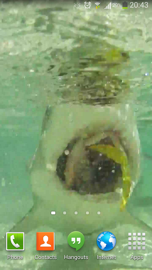 Android application Sharks Live Wallpaper HD 2 screenshort