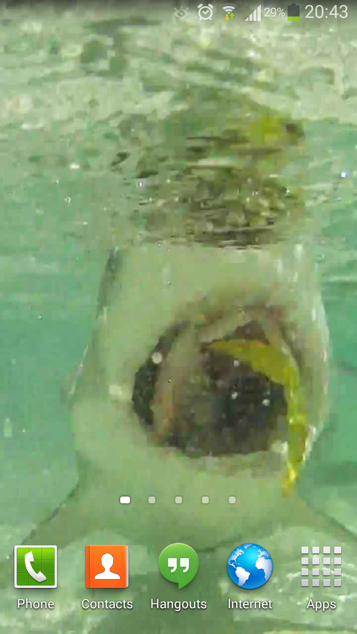 Sharks Live Wallpaper HD 2 Screen 1