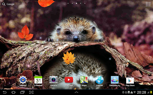 Autumn Live Wallpaper