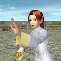 3D Tai Chi Chuan 8+16 Forms logo