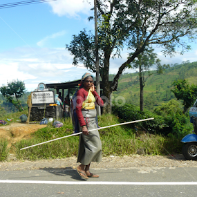 Tea Plucker by Niroshamal Fernando - People Street & Candids