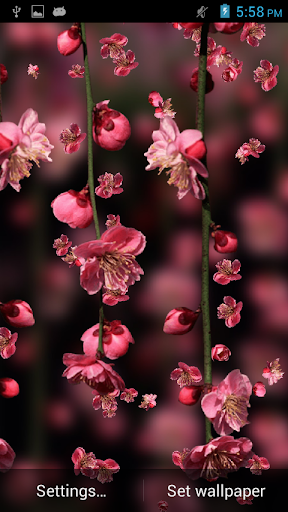 免費下載娛樂APP|Galaxy Flowers Live Wallpaper app開箱文|APP開箱王