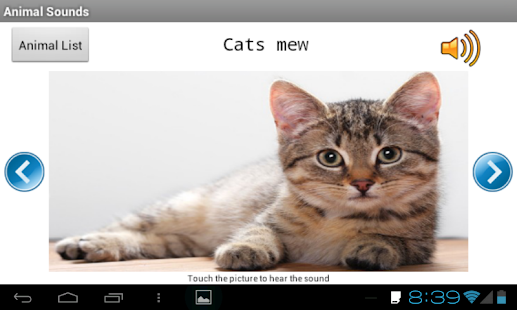 How to download Animal Sounds 1.3 apk for laptop