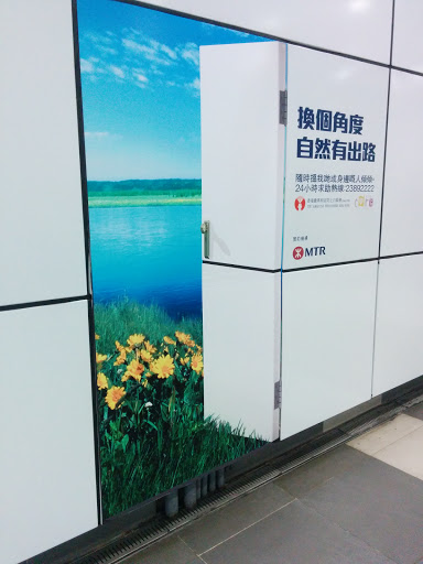 Picture at Tai Po Market MTR Station