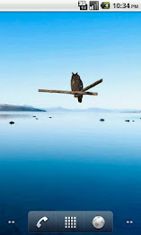 Horned Owl Sticker poster 2