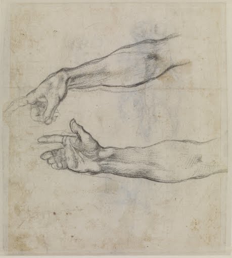 Studies Of An Outstretched Arm For The Fresco The Drunkenness Of Noah In The Sistine Chapel Michelangelo Buonarroti Google Arts Culture