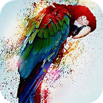 Multicolored parrot LWP Apk