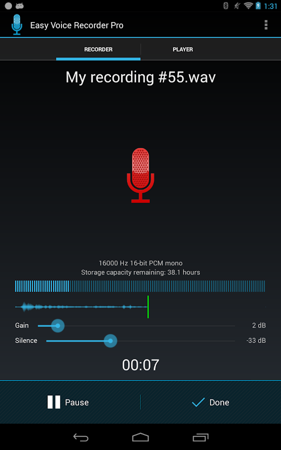 Easy Voice Recorder Pro - screenshot