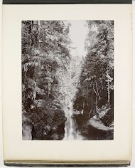 Gezicht langs de Bloemeis rivier, Rinteh, Sumatra (Bloemeis Fluss Gg. Rinteh)