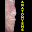Anatomy SMS Download on Windows
