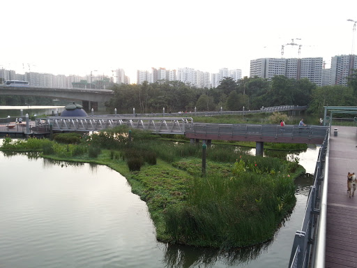 Floating Island of Anchorvale