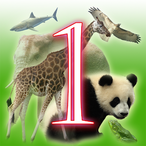 Learn Animal multi languages.apk 1.8