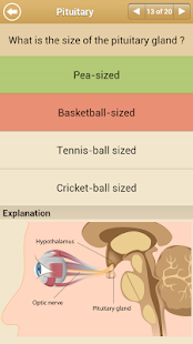 Know Your Body Screenshots 22