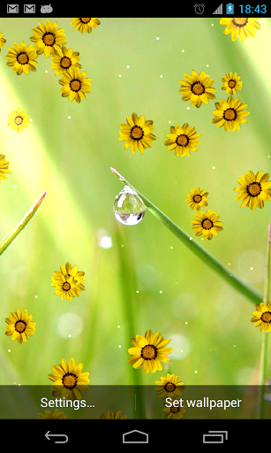 Flower photo Live Wallpaper