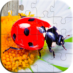 Cover Image of Download Bugs & Insects Jigsaw Puzzles 8.1 APK