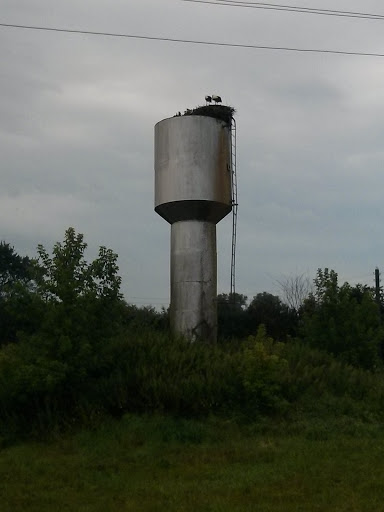 Pokrovskiy Water Tower