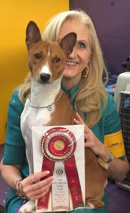 63+ Basenji Breeders Mn