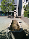 Brunnen des Hofes Fünfschilling