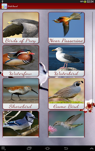Birds Calls Sounds Screenshots 0