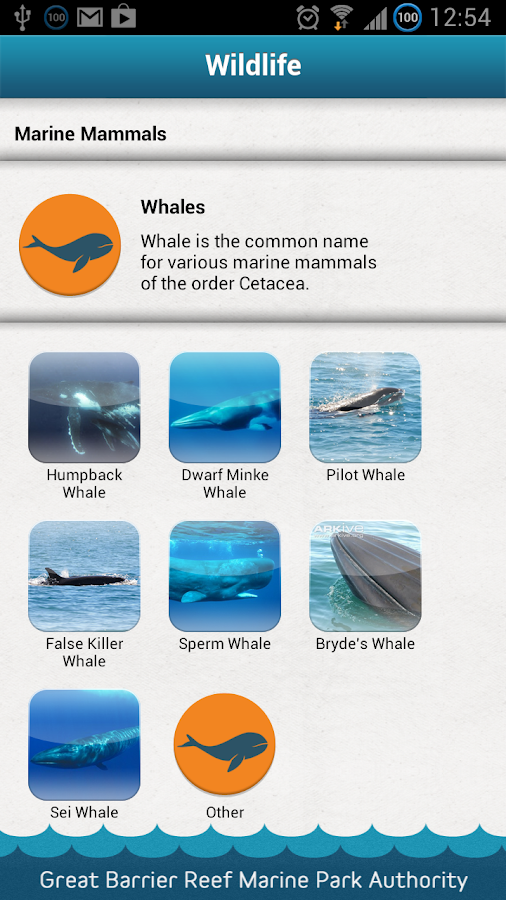   Eye on the Reef- tangkapan skrin 