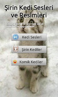 Kedi Sesleri