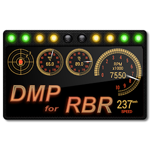 DashMeterPro for RBR