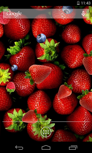 Berries Live Wallpaper