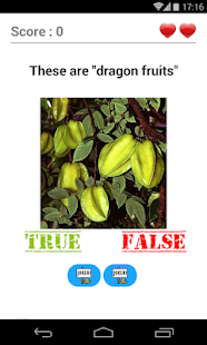 True or False? The Big Quiz Screenshots 3