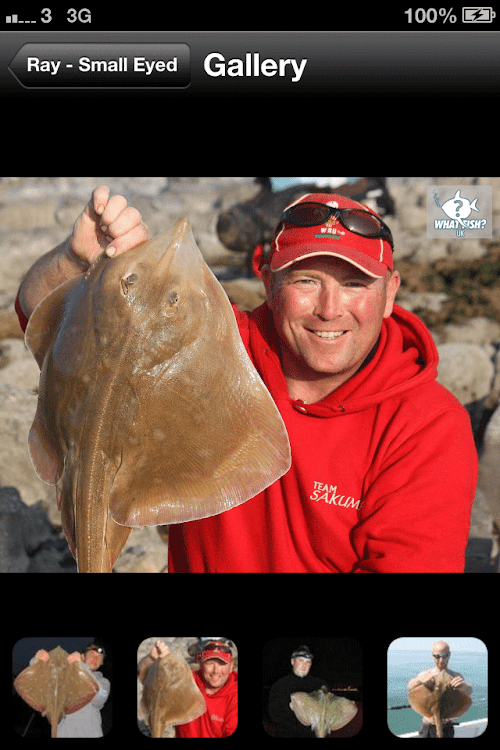 Android application What Fish UK screenshort