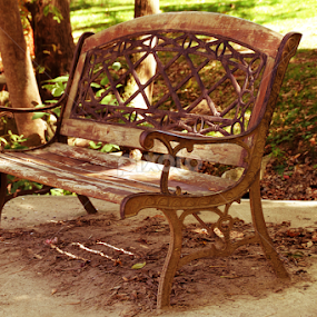The Iron Bench by Marsha Biller - Artistic Objects Furniture