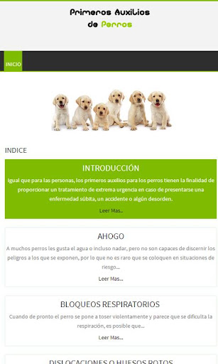 Perros Primeros auxilios