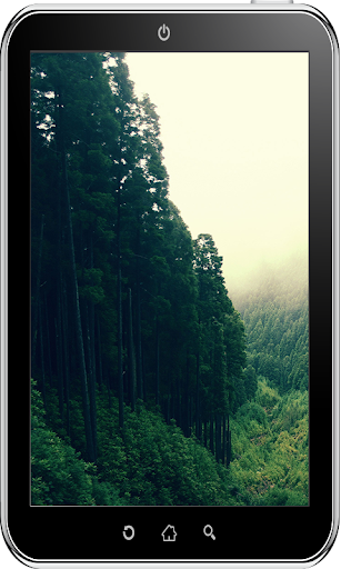 免費下載個人化APP|Forest Wallpaper HD app開箱文|APP開箱王