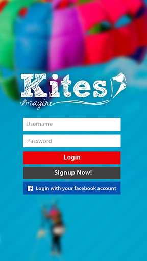 Kites Egypt