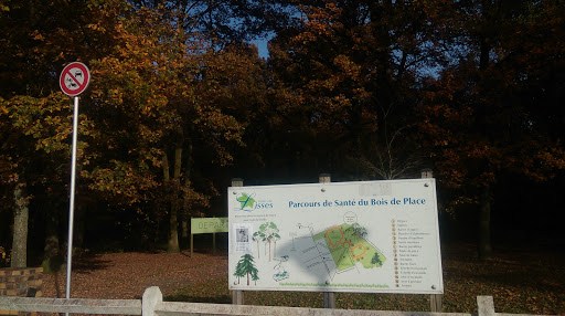 Bois De Place