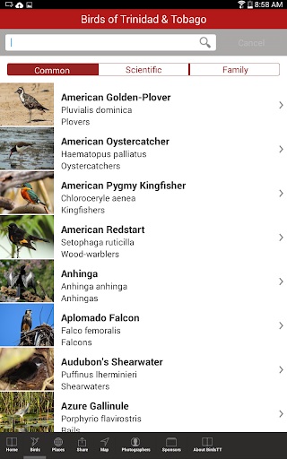 【免費書籍App】Birds of Trinidad and Tobago-APP點子