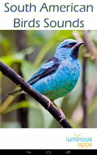 South American Birds Sounds Screenshots 0