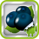 DVR:Bumper – Blackberry logo