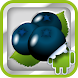 DVR:Bumper - Blackberry