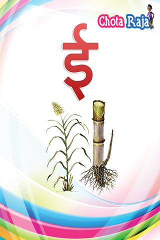 grade skg hindi weekly updates from 01122014 to 05122014